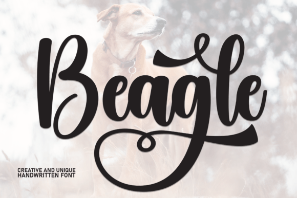 Beagle: A Fresh Script Font for Modern Editorial Design