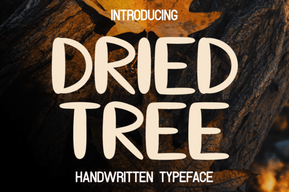 Dried Tree Font: A Web Designer’s Story of Crafting Warm Digital Experiences